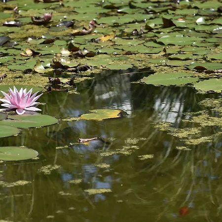 Üdülőközpont Db Le Del Lido
