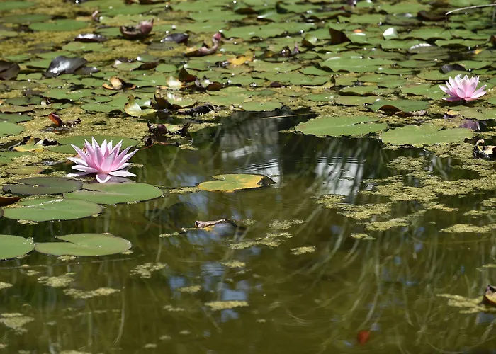 Semesteranläggning (resort) Db Le Del Lido